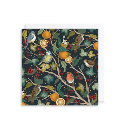 Winter Birds in a Fruit Tree Boxed Christmas Cards