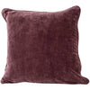 Velvet Cushion Crocus