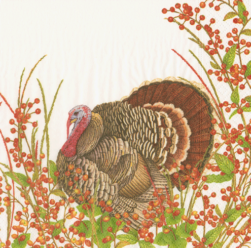Turkey and Berries Paper Napkin - Cocktail