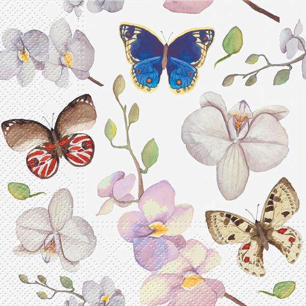 Butterflies Paper Napkins - Lunch