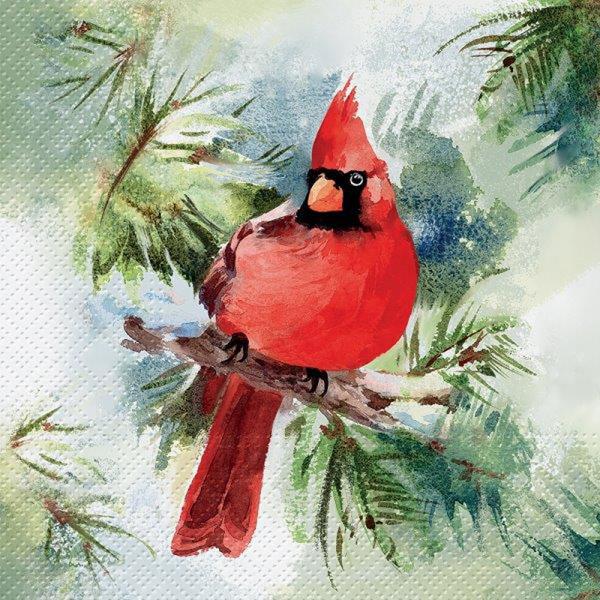 Cardinals on Pine Branch Paper Lunch Napkins | Putti Christmas 