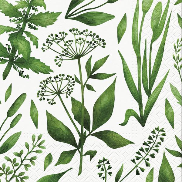Green Foliage Paper Napkins - Lunch