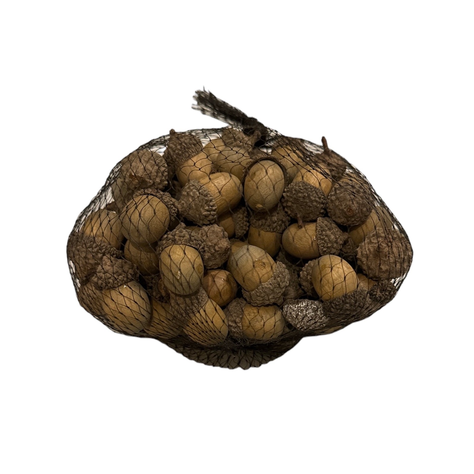 Bag of Acorns