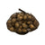Bag of Acorns