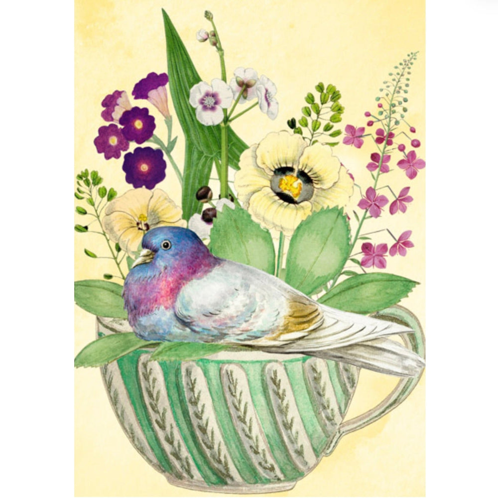 Pigeon in a Teacup Greeting Card | Putti Fine Furnishings 