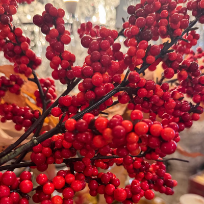 Red Orange Berry Branch | Putti Christmas Decorations