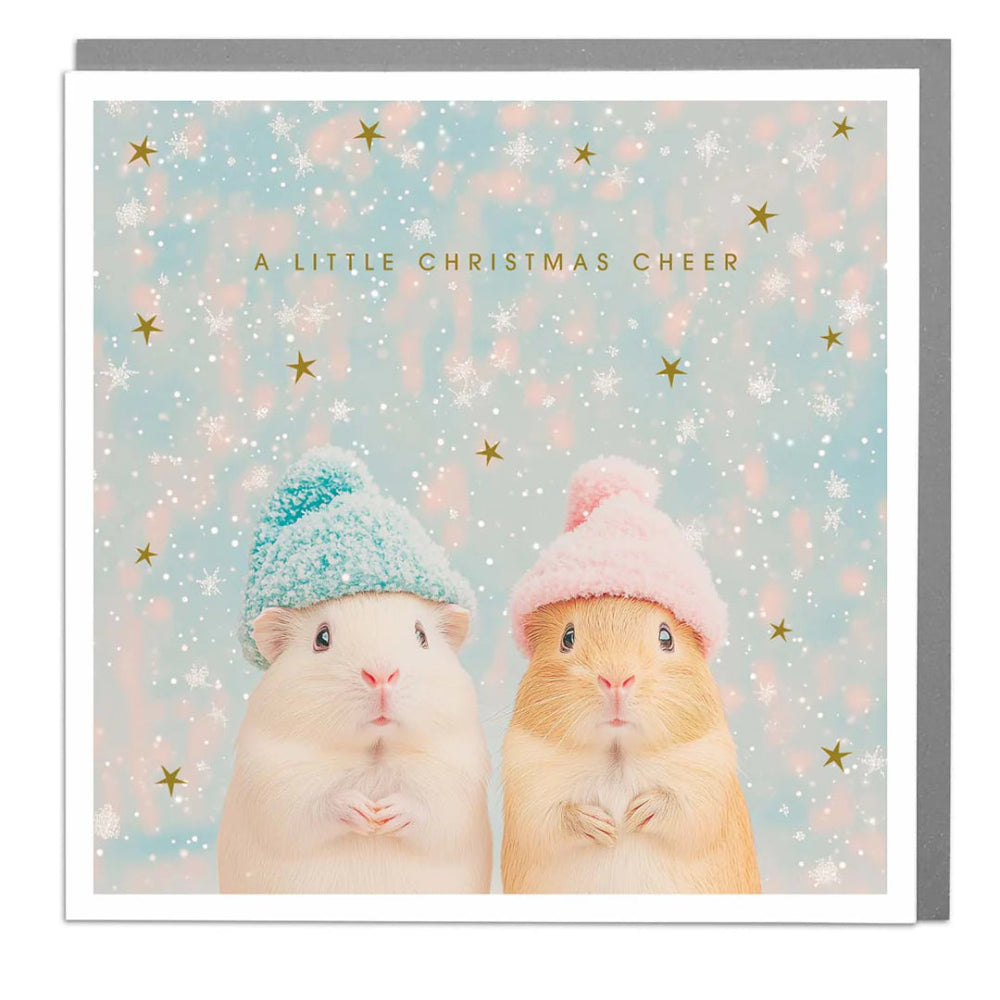 "A Little Christmas Cheer" Guinea Pig Greeting Card  | Putti Christmas 