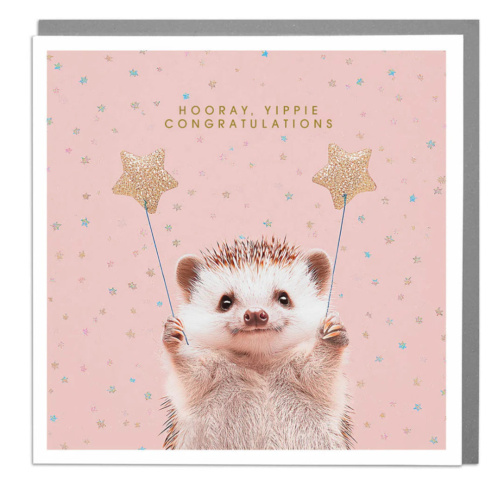 Lola Design Hedgehog "Hooray Yipie Congratulations" Greeting Card | Putti Fine Furnishings 