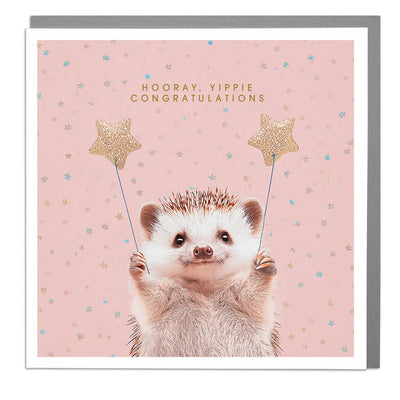 Lola Design Hedgehog "Hooray Yipie Congratulations" Greeting Card | Putti Fine Furnishings