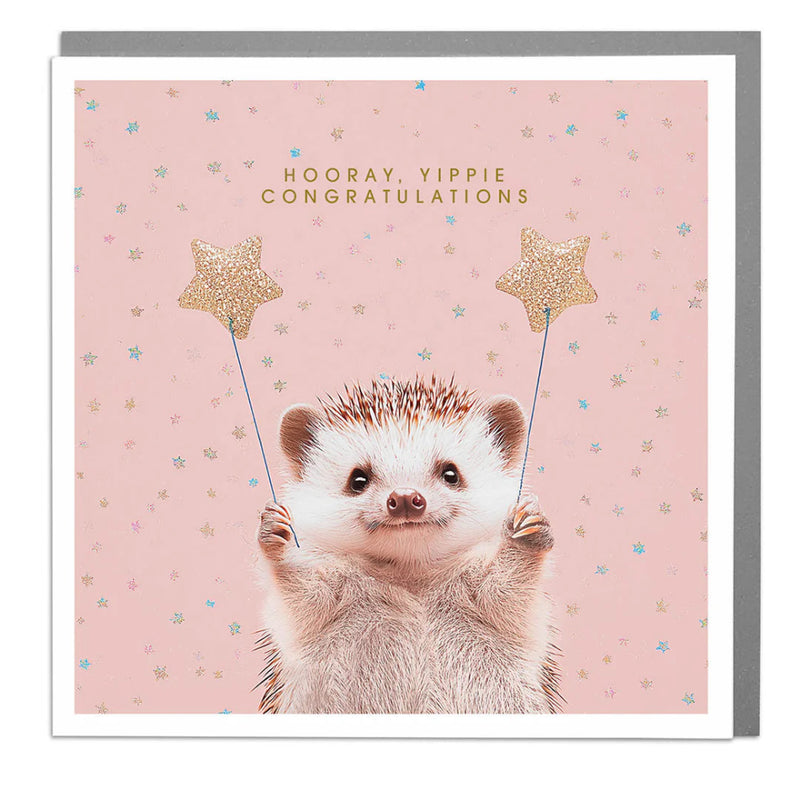 Lola Design Hedgehog "Hooray Yipie Congratulations" Greeting Card | Putti Fine Furnishings 