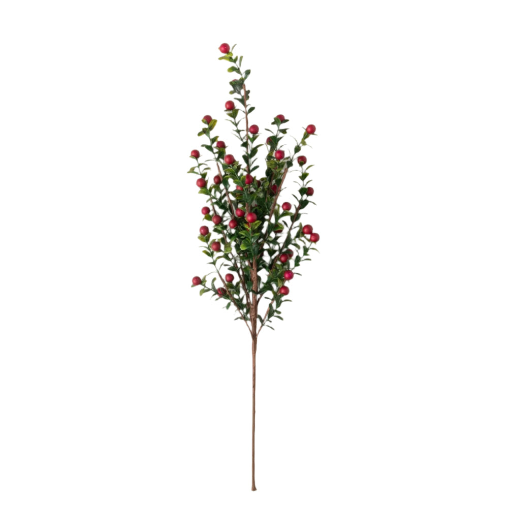 Boxwood Berry Pick | Putti Christmas Decorations 