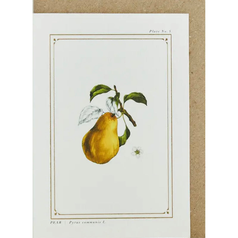 "The Botanist Archive: Festive Edition" Greeting Card - Pear | Putti Christmas