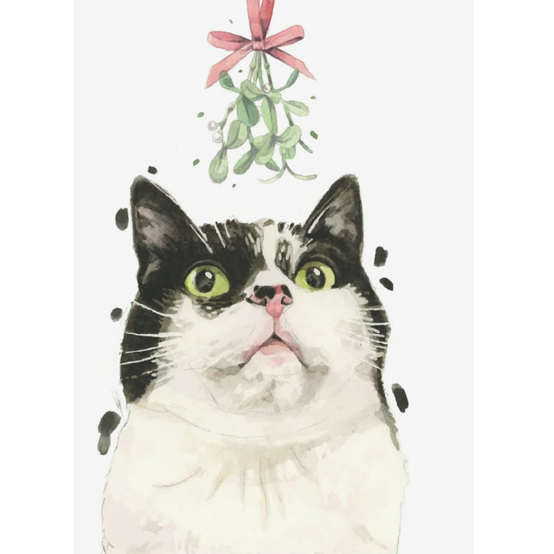 Black and White Cat with Mistletoe Christmas Greeting Card