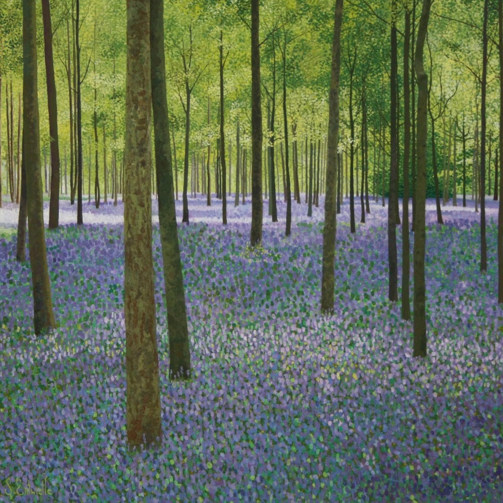 Susan Entwistle Bluebell Woods Greeting Card | Putti Celebrations 