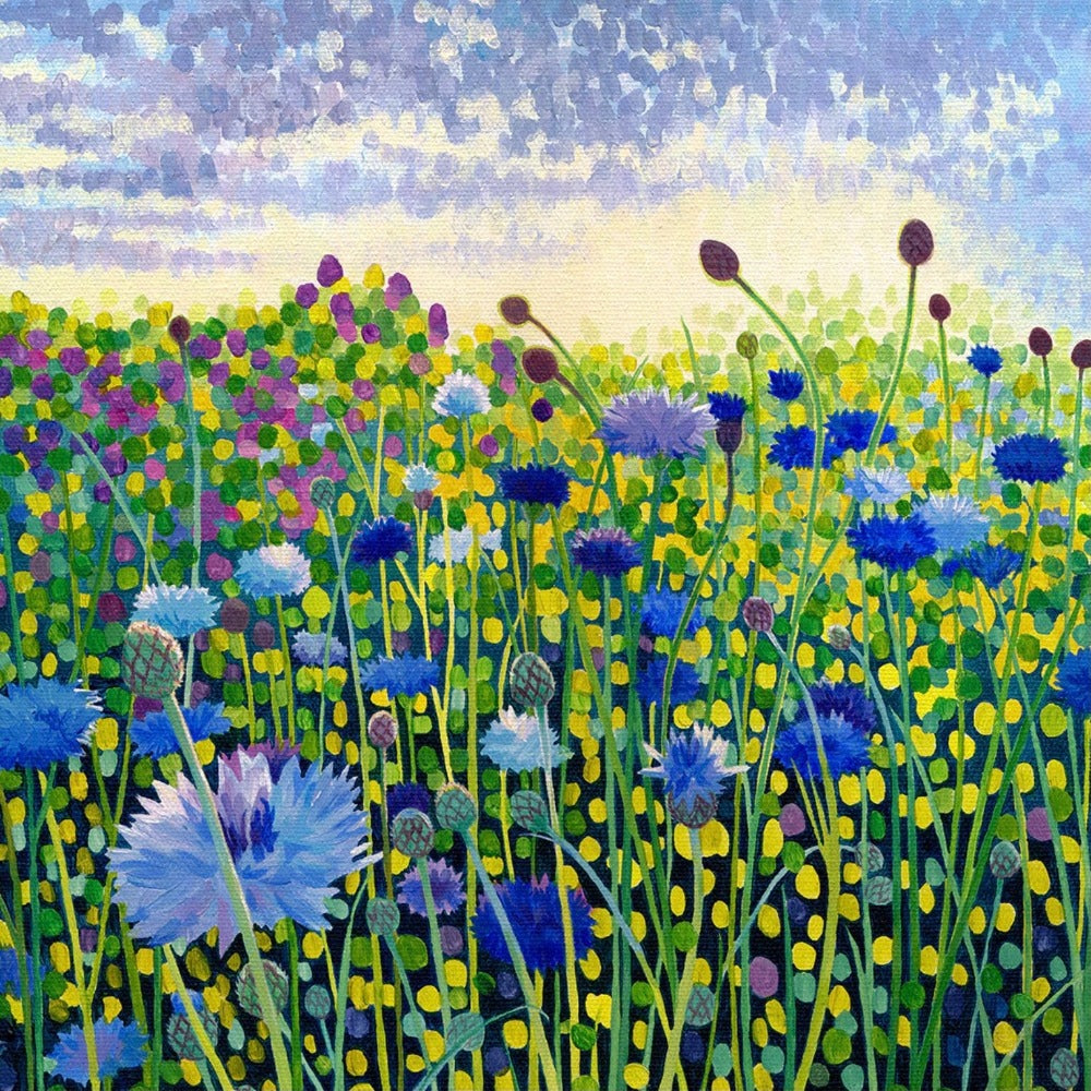 Susan Entwistle Cornflowers Greeeting Card | Putti Celebrations 