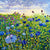 Susan Entwistle Cornflowers Greeeting Card | Putti Celebrations 