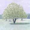 Susan Entwistle Snow Crab Apple Greeting Card | Putti Celebrations
