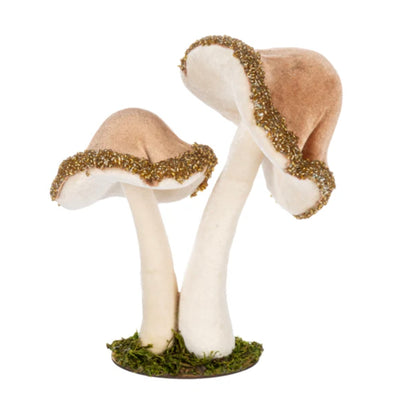 Velvet Mushroom Cluster