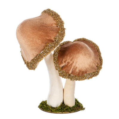 Velvet Mushroom Cluster