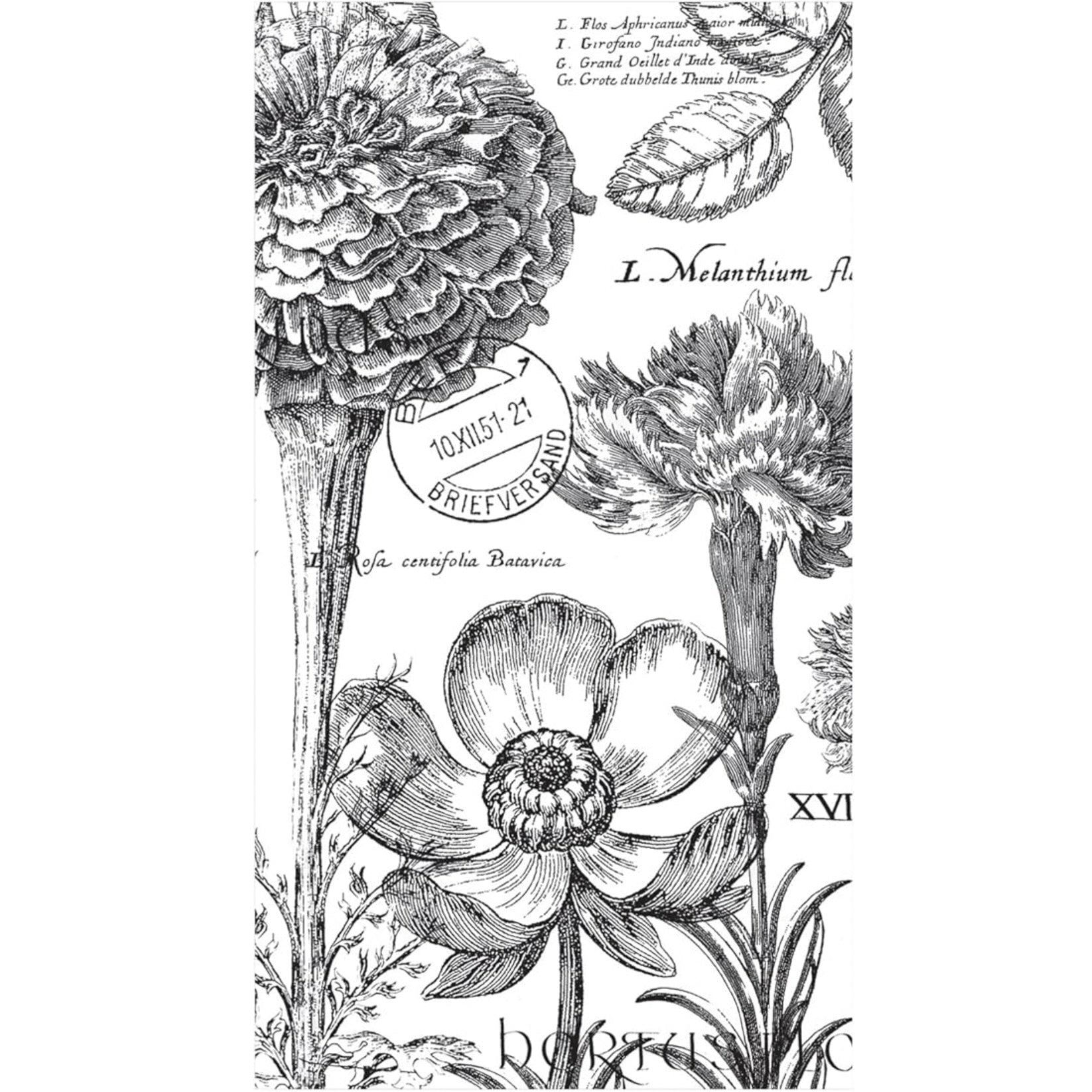 Flower Noir Paper Napkin - Guest | Putti Fine Furnishings Canada