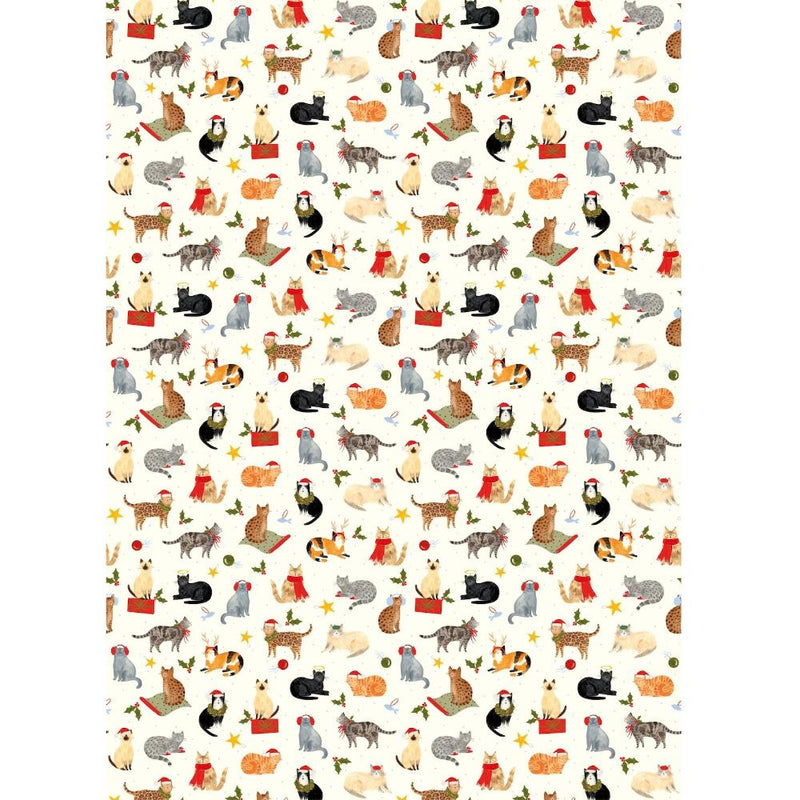 Santa Paws Cats Wrapping Paper Roll | Putti Christmas 