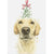 Yellow Labrador with Mistletoe Christmas Greeting Card | Putti Christmas 