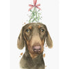 Dachshund with Mistletoe Christmas Greeting Card | Putti Christmas