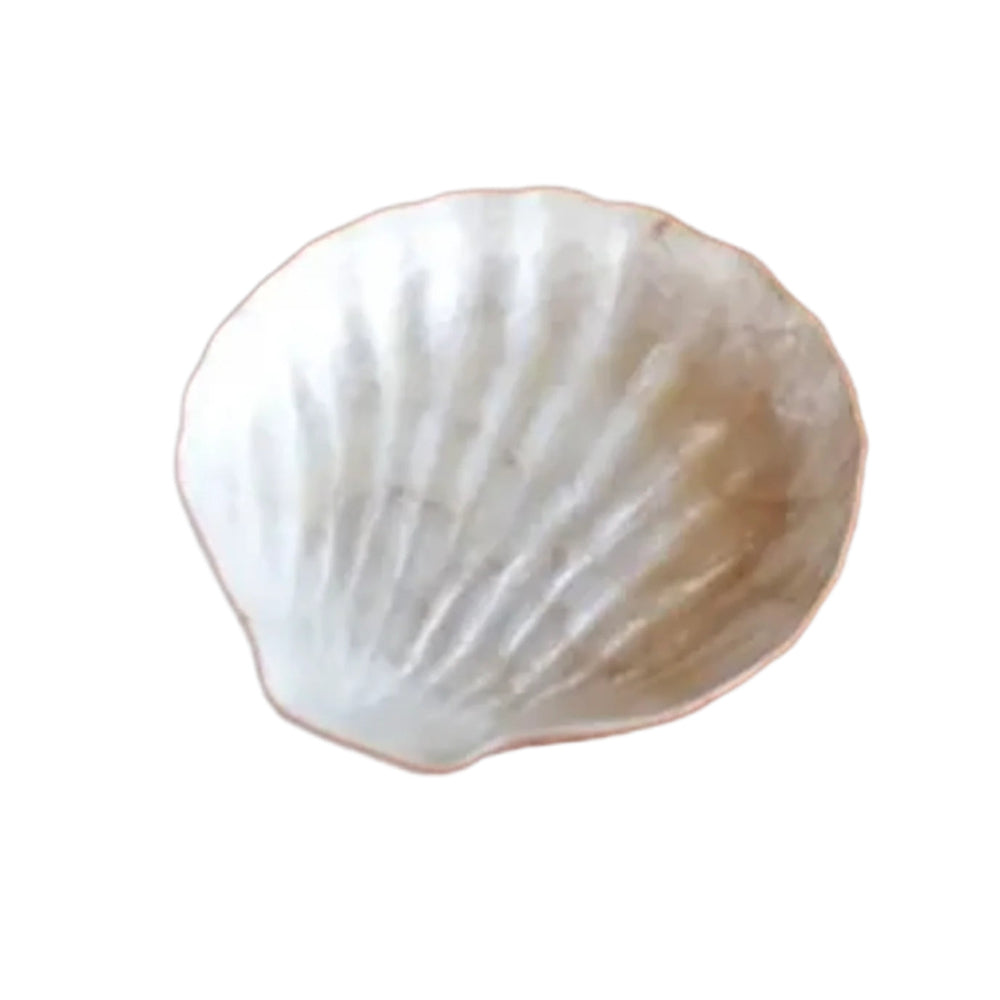 Capiz Shell Serving Plate