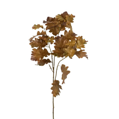 Sullivans Oak Leaf Spray - Gold  Putti Fine Furnishings