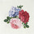 Truly Scrumptious Floral Lunch Napkin - Pkg 50 pcs