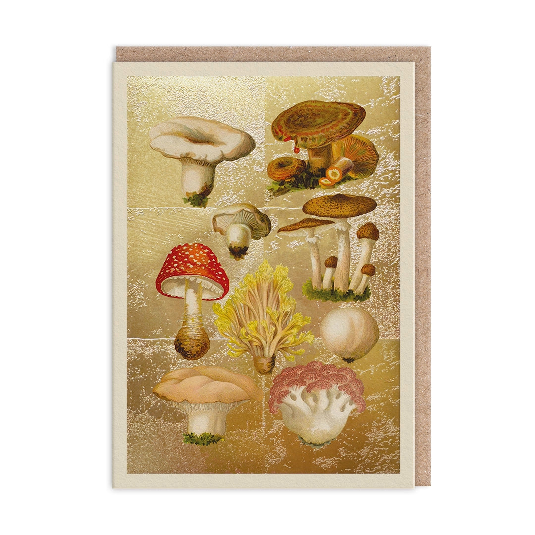 The Natural World Collection Greeting Card - Fungi | Putti Celebrations 