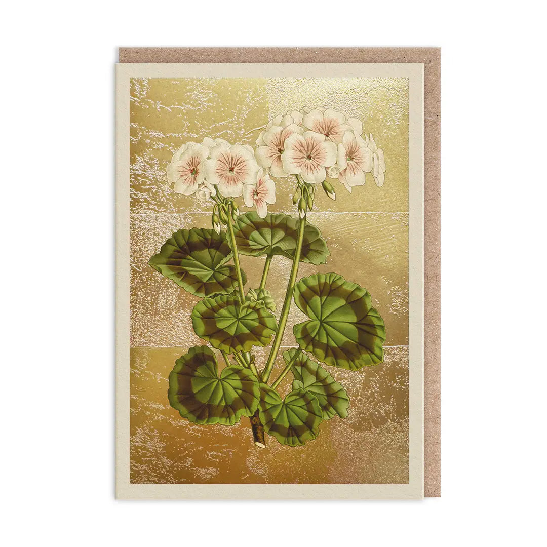 The Natural World Collection Greeting Card - Geranium | Putti Celebrations 