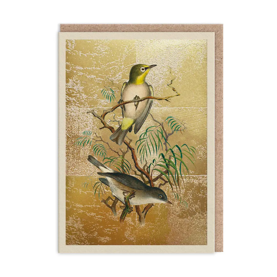 The Natural World Collection Greeting Card - Heuglin's White-Eye | Putti Celebrations 
