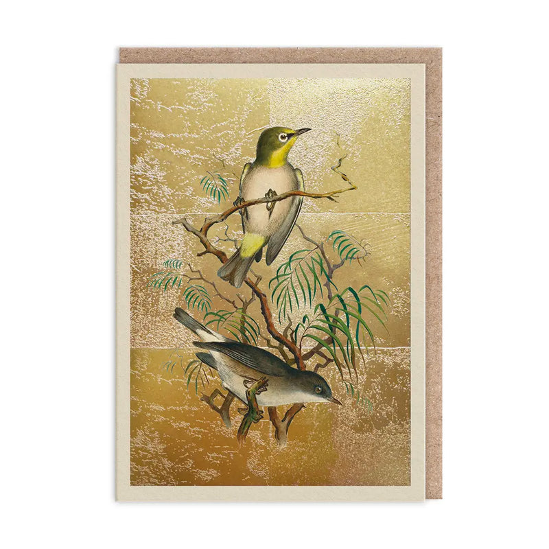 The Natural World Collection Greeting Card - Heuglin's White-Eye | Putti Celebrations 