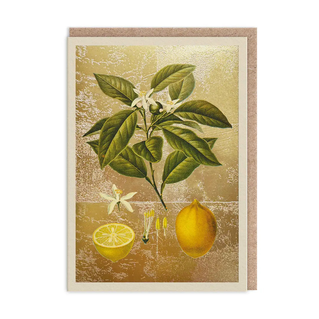 The Natural World Collection Greeting Card - Lemons | Putti Celebrations 