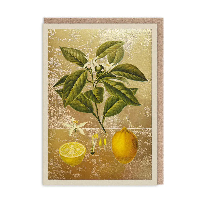 The Natural World Collection Greeting Card - Lemons | Putti Celebrations 