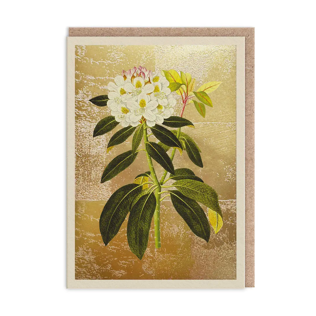 The Natural World Collection Greeting Card - Rhododendron | Putti Celebrations 