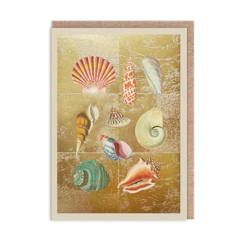The Natural World Collection Greeting Card - Shell | Putti Celebrations 