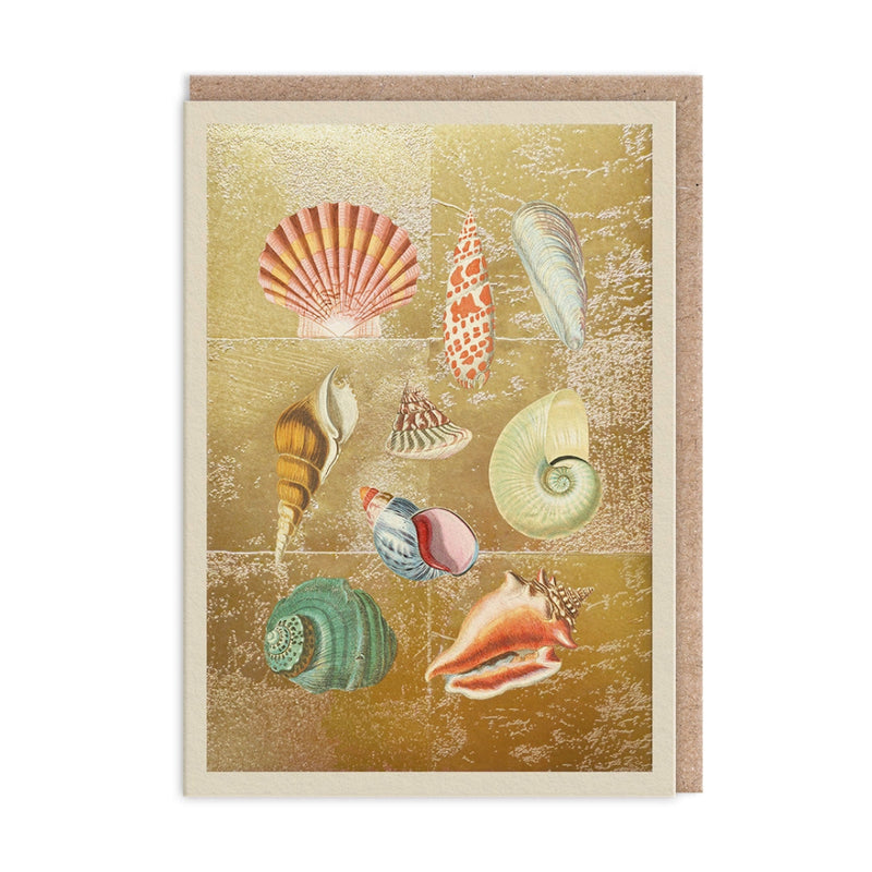 The Natural World Collection Greeting Card - Shell | Putti Celebrations 