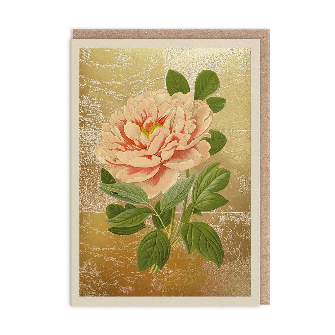 The Natural World Collection Greeting Card - Tree Peony | Putti Celebrations 