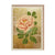 The Natural World Collection Greeting Card - Tree Peony | Putti Celebrations 