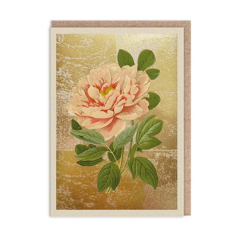 The Natural World Collection Greeting Card - Tree Peony | Putti Celebrations 