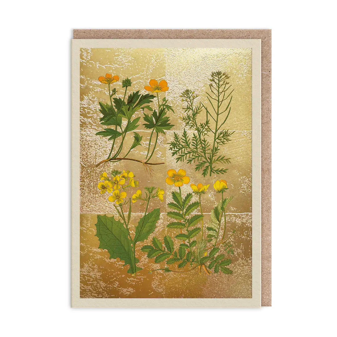 The Natural World Collection Greeting Card - Wild Marsh | Putti Celebrations 