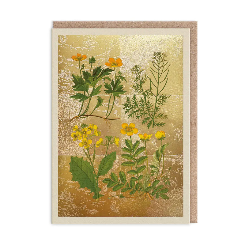 The Natural World Collection Greeting Card - Wild Marsh | Putti Celebrations 