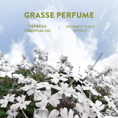 Panier des Sens Eau de toilette roll-on - Energizing Verbena