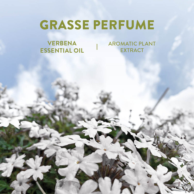 Panier des Sens Eau de toilette roll-on - Energizing Verbena