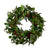 Iced Mixed Greenery and Pinecone Wreath | Putti Christmas Canada