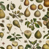 The Pattern Book Uk Pears Wrapping Paper Sheet | Putti