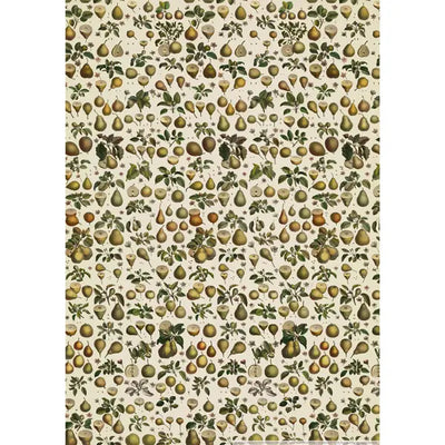 The Pattern Book Uk Pears Wrapping Paper Sheet | Putti