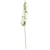 White Hollyhocks | Putti Fine Furnishings